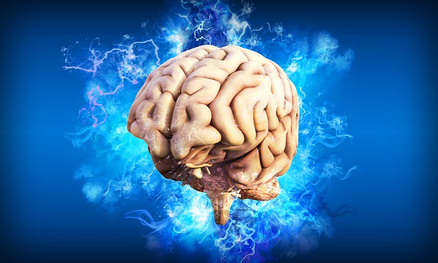 Neuroscienza – quando la biologia incontra la psicologia