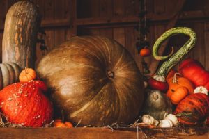 Pumpkin Seed Pro - ingredienti - composizione - funziona - come si usa